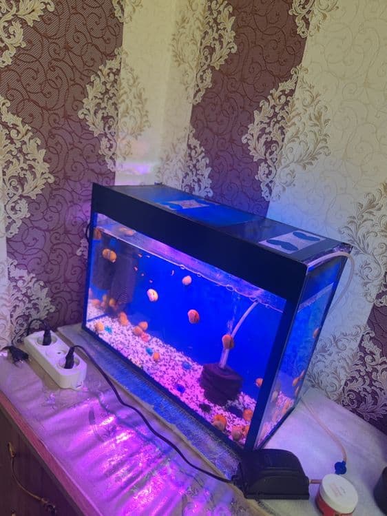 Akvarium komplekt 40Litr — 2