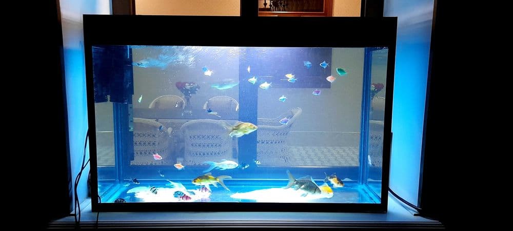 zavodskoy 100 l akvarium — 1