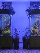 В продаже Аквариум Колонна