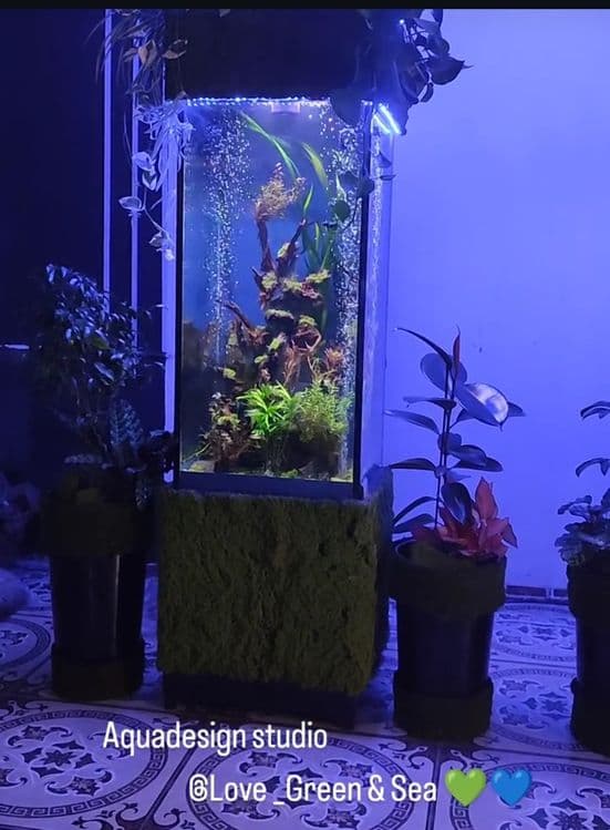 В продаже Аквариум Колонна — 3