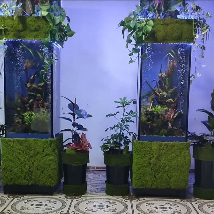 В продаже Аквариум Колонна — 4