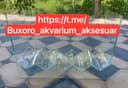 Катта отсадник живородкалар учун