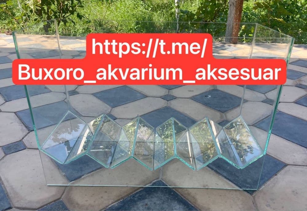 Катта отсадник живородкалар учун — 1