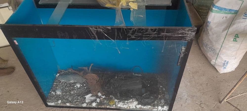 Akvarium sotiladi tezda — 1