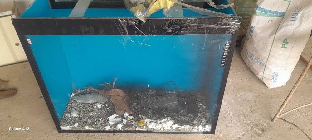 Akvarium sotiladi tezda — 3
