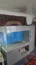 Продаётся аквариум с тумбой.500 лт.
