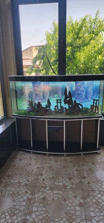 Аквариум Akvarium