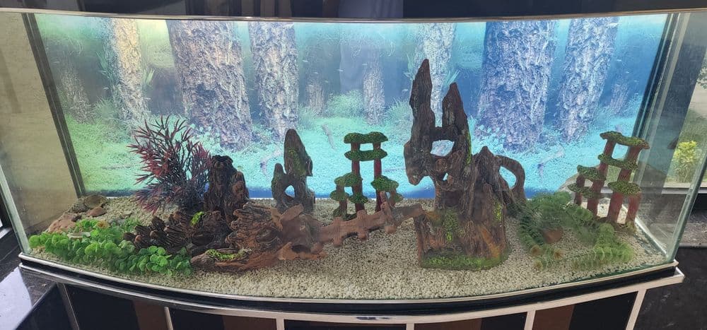 Аквариум Akvarium — 2