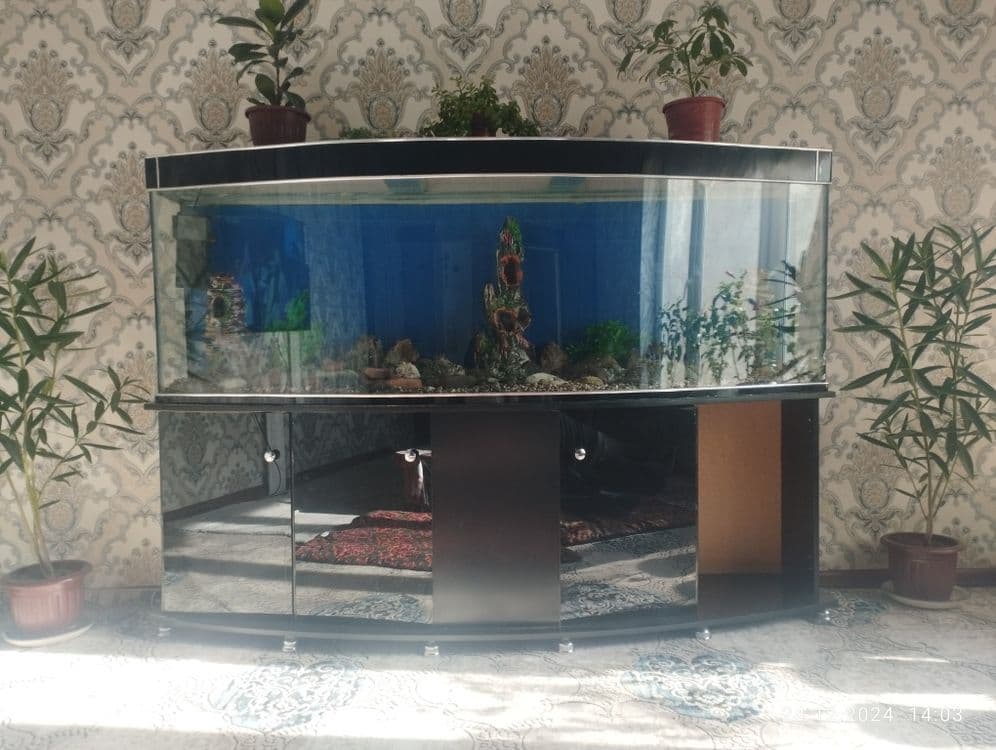 Akuarium satiladi 2 metr . 500 Lt — 1