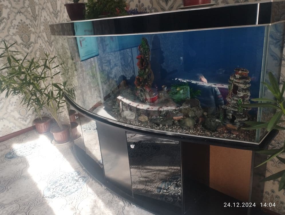 Akuarium satiladi 2 metr . 500 Lt — 3