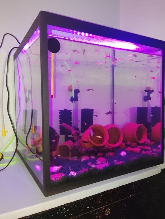 Pashti yangi akvarium sotiladi — 1