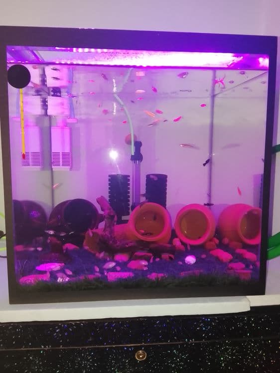 Pashti yangi akvarium sotiladi — 2