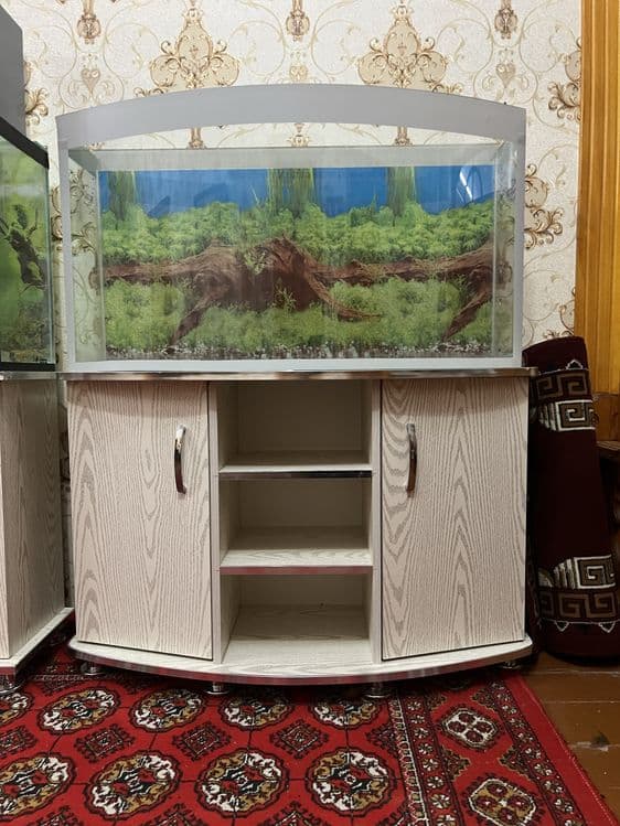 Akvariumlar har hil turdagi — 1