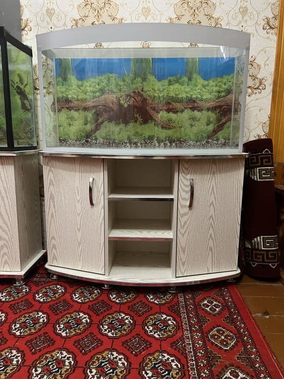 Akvariumlar har hil turdagi — 2