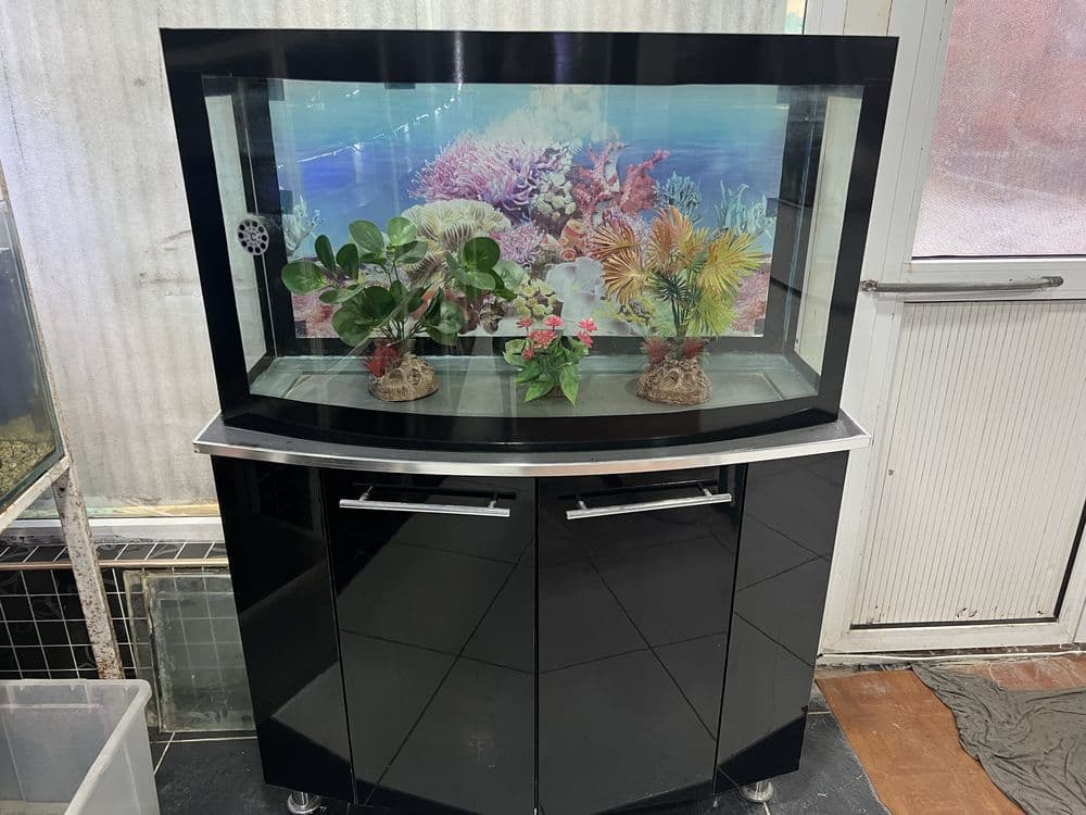 Akvariumlar har hil turdagi — 4