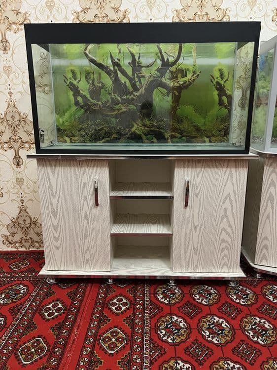 Akvariumlar har hil turdagi — 8