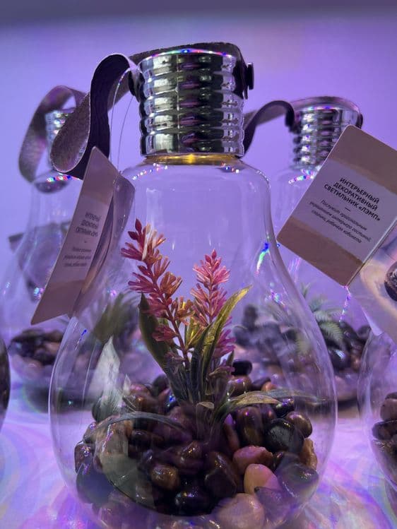 Deqarativni akvarium lampa — 1