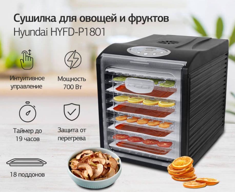 Фрукто сушилка Hyundai H1801 — 1