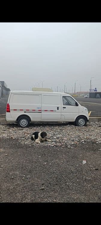 WULING Электрический грузовик рефрижератор (холодильник) — 5
