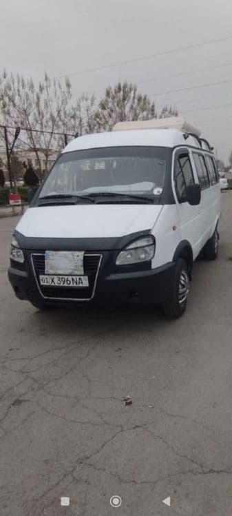 Gazel tayyor navarot — 4