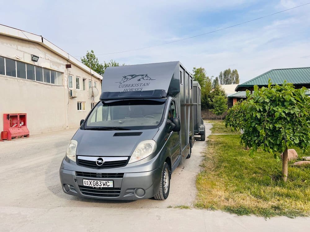 Коневоз Opel Vivaro отличном состоянии!!! — 2