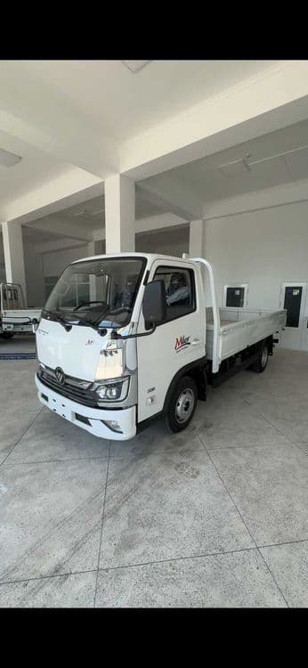 Мини-грузовой автомобиль Foton Miler — 1