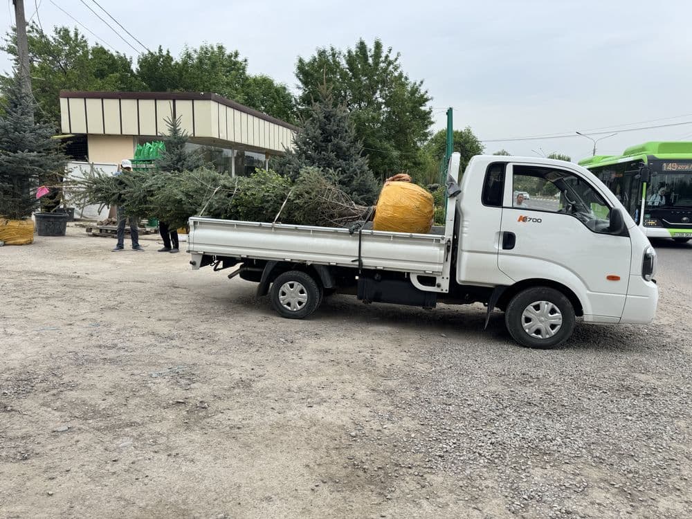 Kia bongo 2023 yil 62000 km tozza moshina tentlari bor — 3