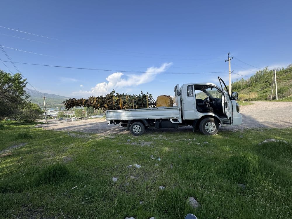 Kia bongo 2023 yil 62000 km tozza moshina tentlari bor — 4