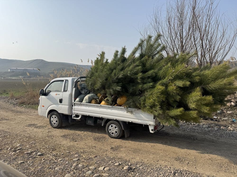 Kia bongo 2023 yil 62000 km tozza moshina tentlari bor — 5