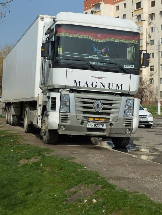 Fura Reno Magnum — 8