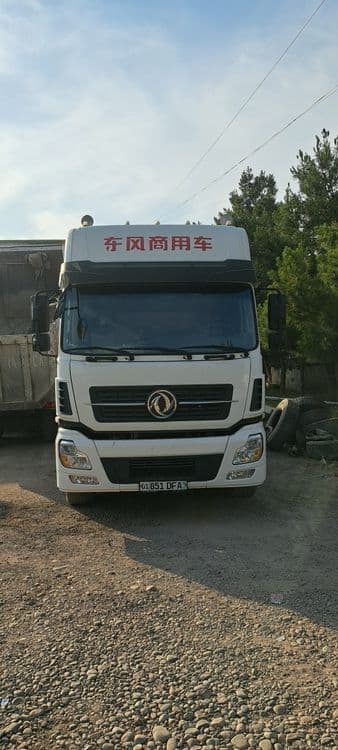 Dongfen tigach 2014 — 1