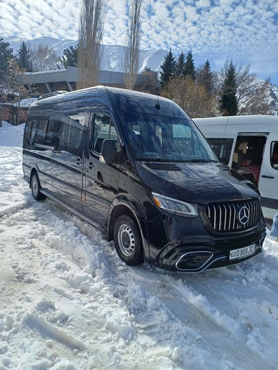 Мерседес спринтер 2010 — 2