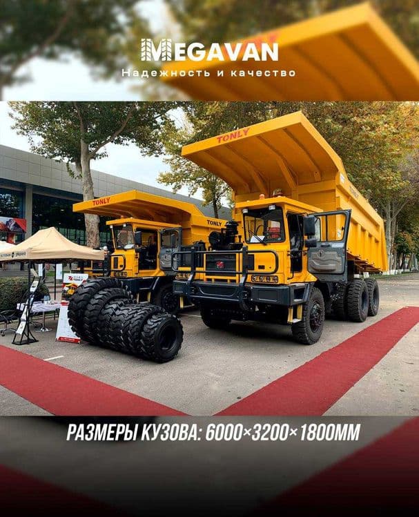 Самосвал Shaanxi Tonly markali TONLY TL875B karyer samosvali — 4