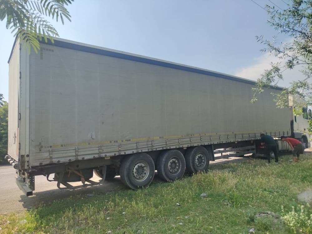 Полпритсеп шимитс — 3
