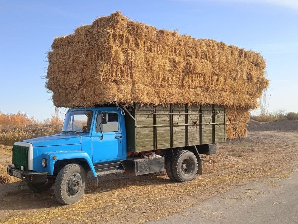 Gaz 53 bortli texnika — 2