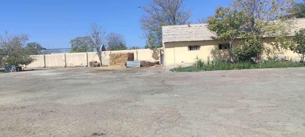 Бухоро вилояти Вобкент туман Загад Контора сотилади — 8