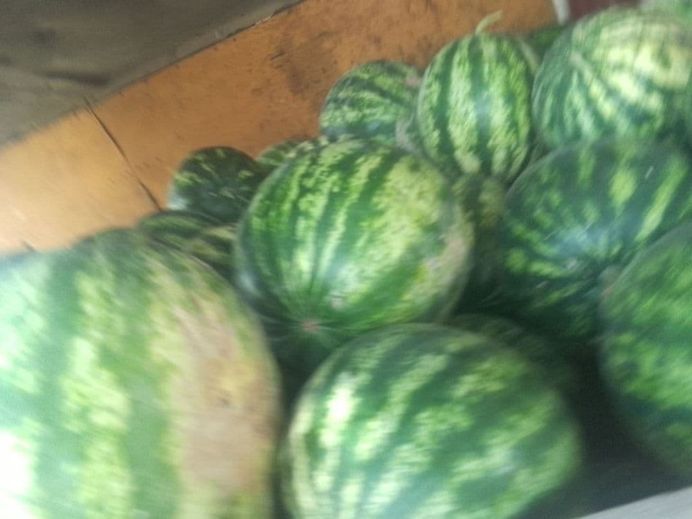 Mashina Ford gazil Bango farqi yuq tarvuz yuklab Samarqand,Navoi Buxor — 2