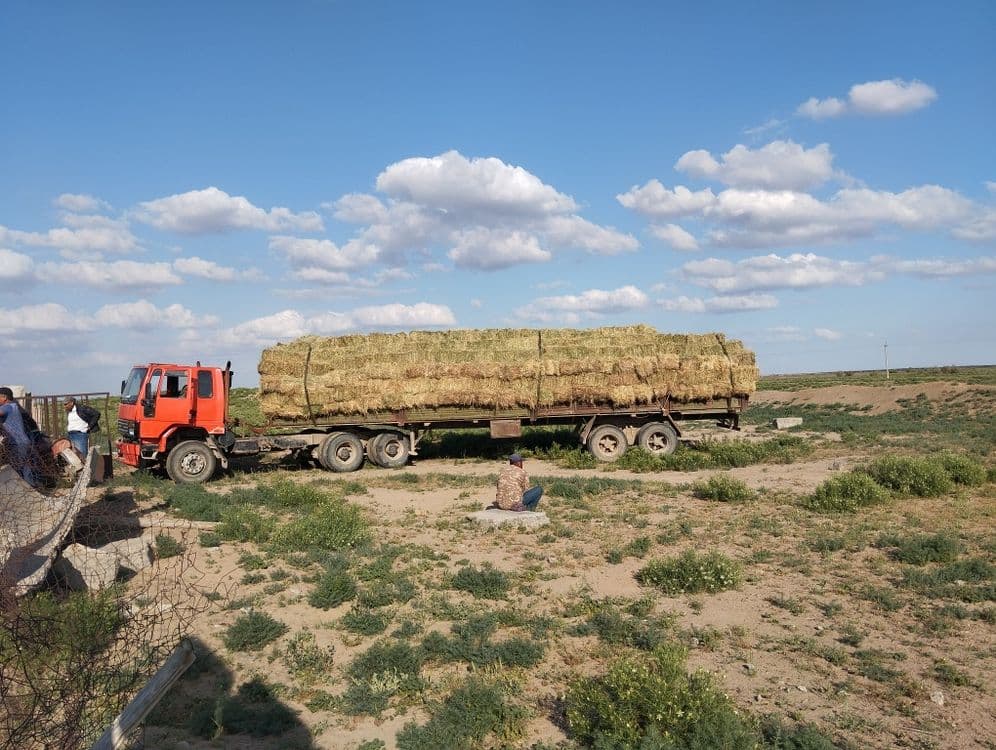 Форд карго тягач сотилади — 4