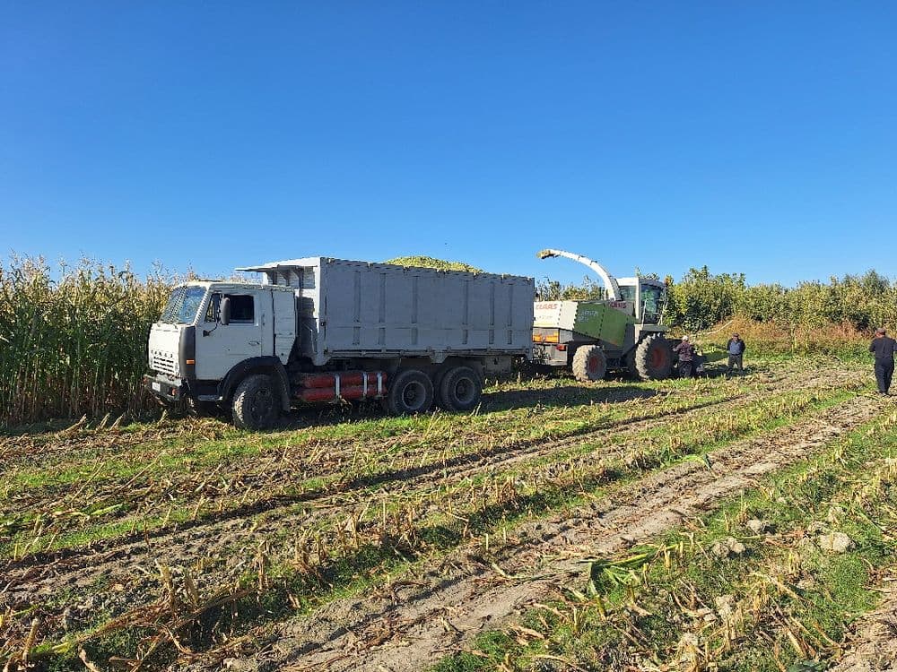 Камаз селхоз 55102 — 7