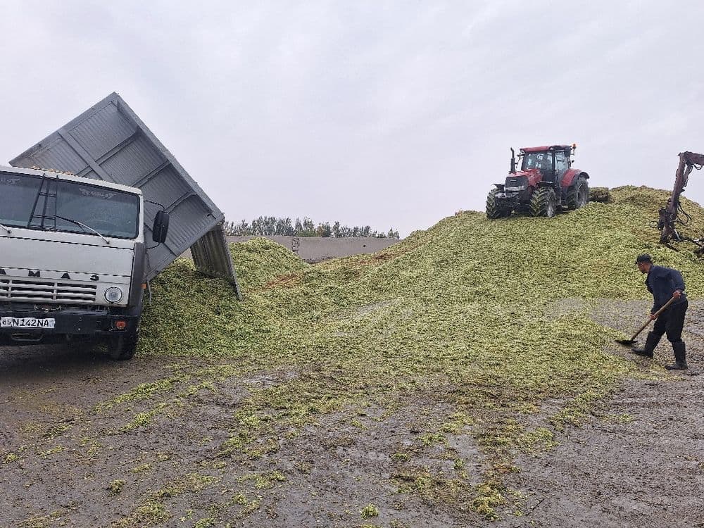 Камаз селхоз 55102 — 8