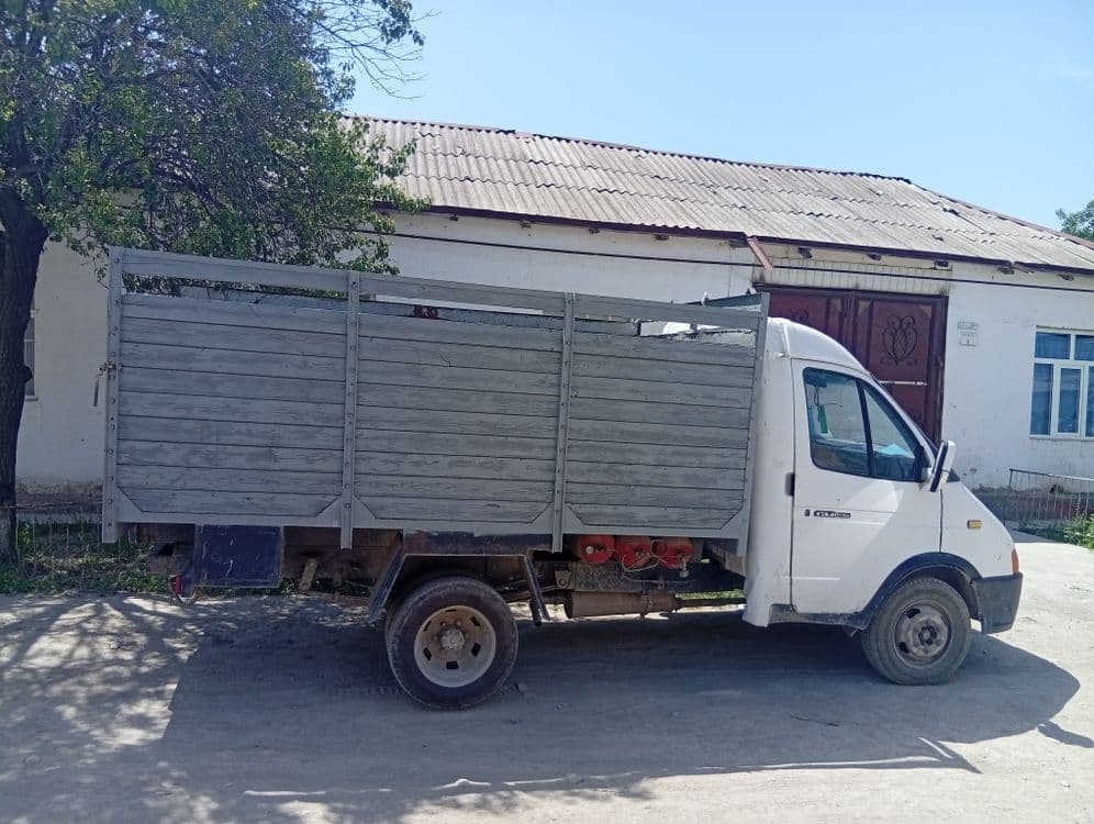 Газел зур холатда — 2