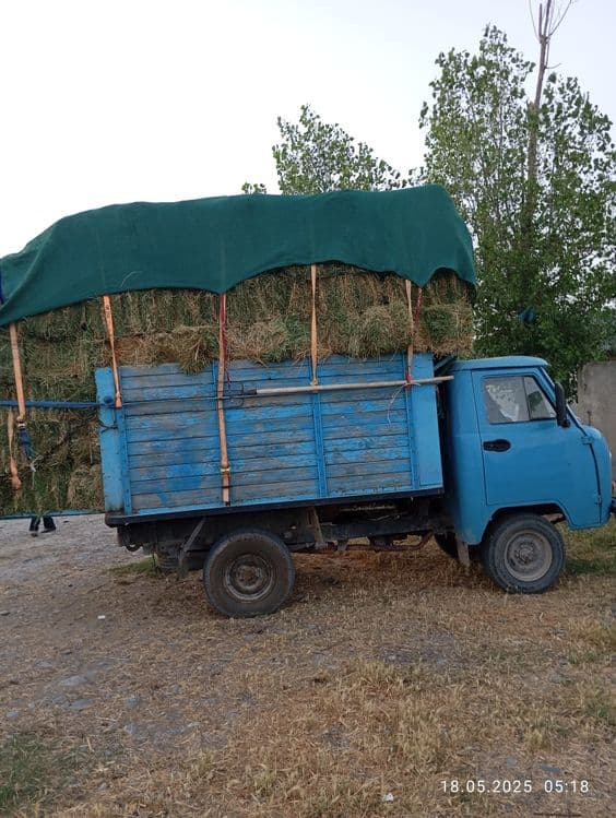 Увазик бортовой сотилад — 8