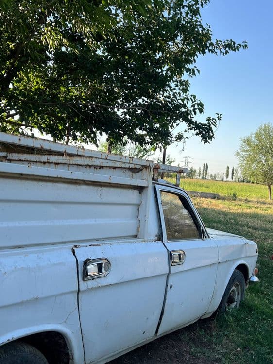 "Shoshiling! Arzon narxda GAZ 2410 yuk pikap sotiladi" 

1986-yil ishl — 5