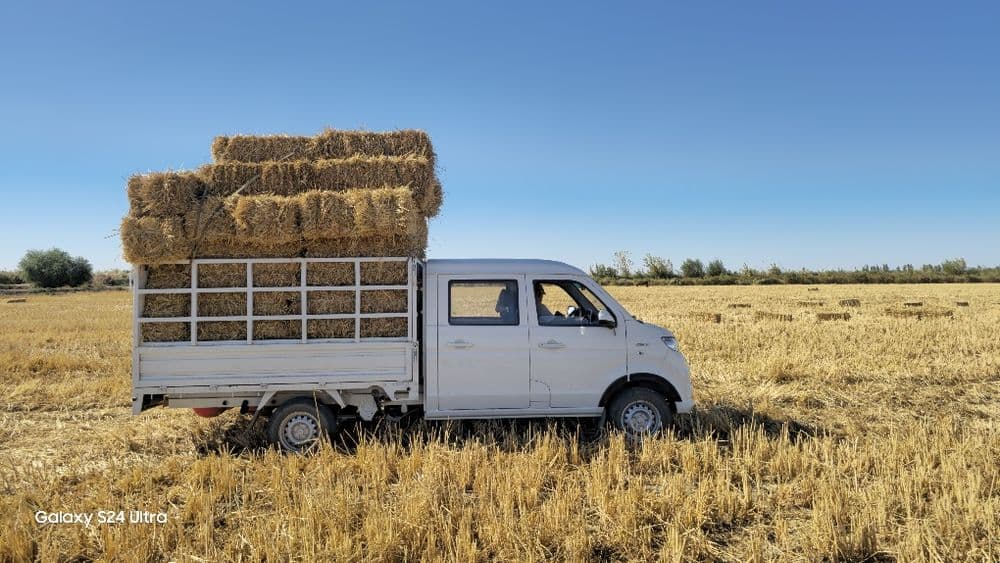 Shineray T32 dubl kabina — 5