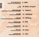 Битонкоргич2008й