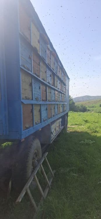 Прицеп для перевозки Пчел(асалари) — 6