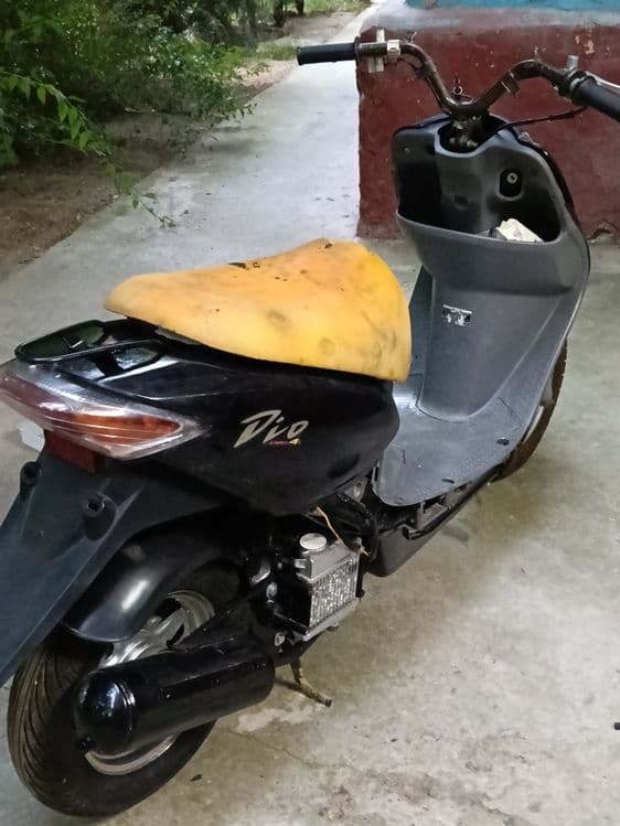hondo Dio af 56. — 4