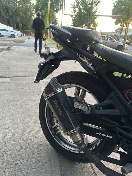 Kawasaki monster 250 cc — 1