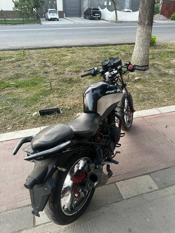 Kawasaki monster 250 cc — 3
