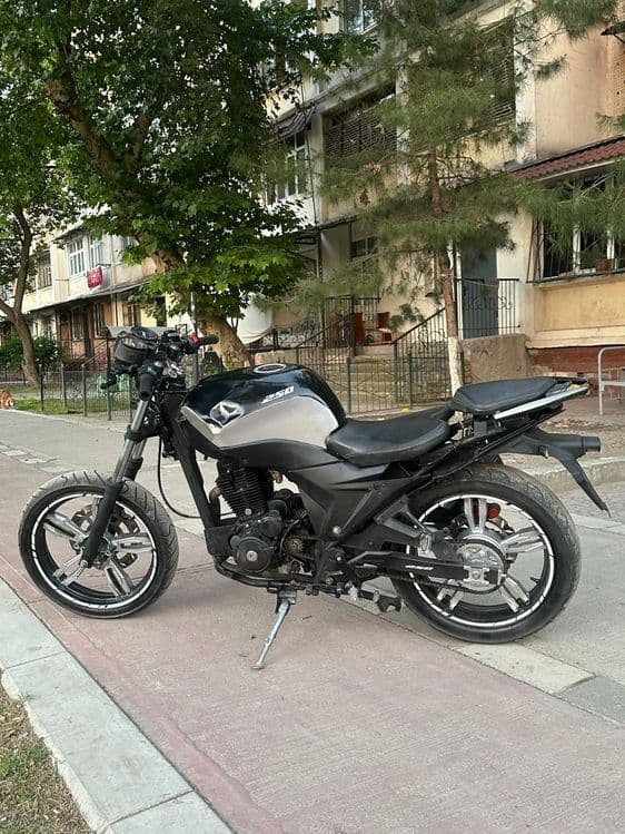 Kawasaki monster 250 cc — 4